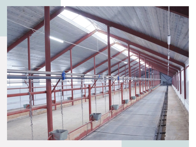 Строительство коровников в Подольске от 625 руб.