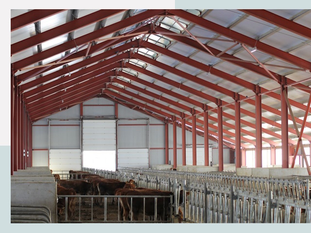 Строительство коровников в Подольске