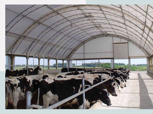 Тентовые коровники в Подольске